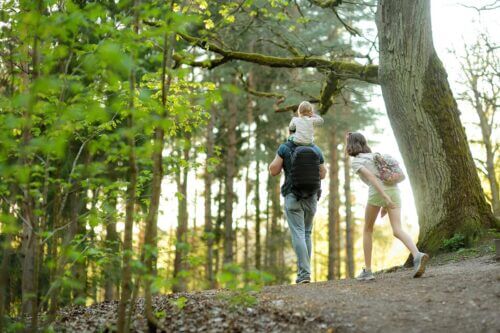 Outdoor Recreation: Explore Nature While Staying at a Hotel Near Eureka, MO