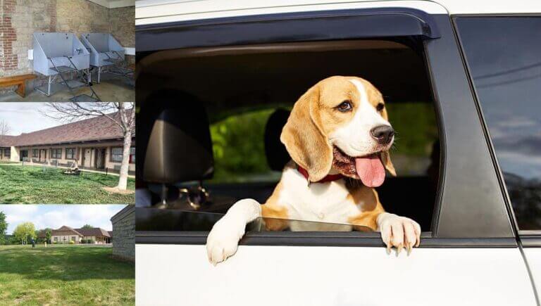 Pet Friendly Hotel Rooms in Eureka, MO